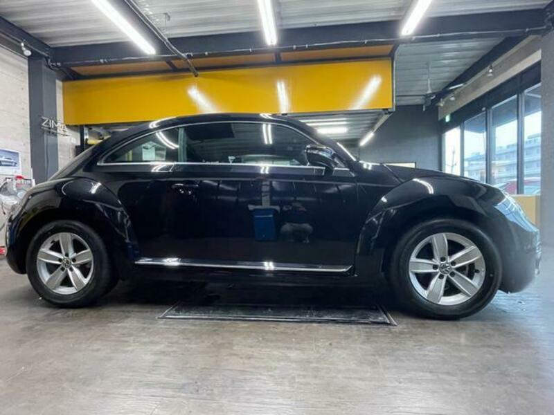 THE BEETLE