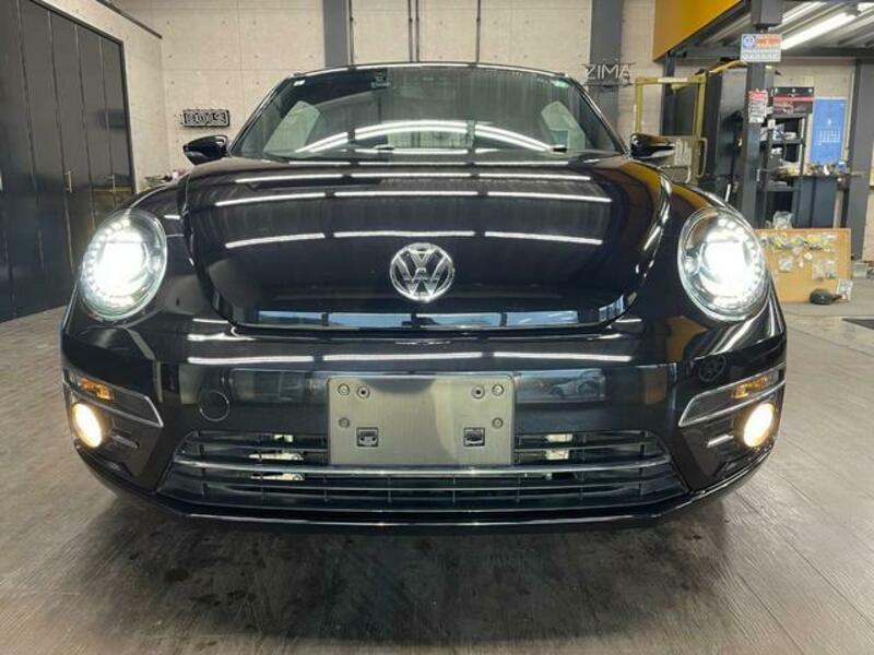 THE BEETLE