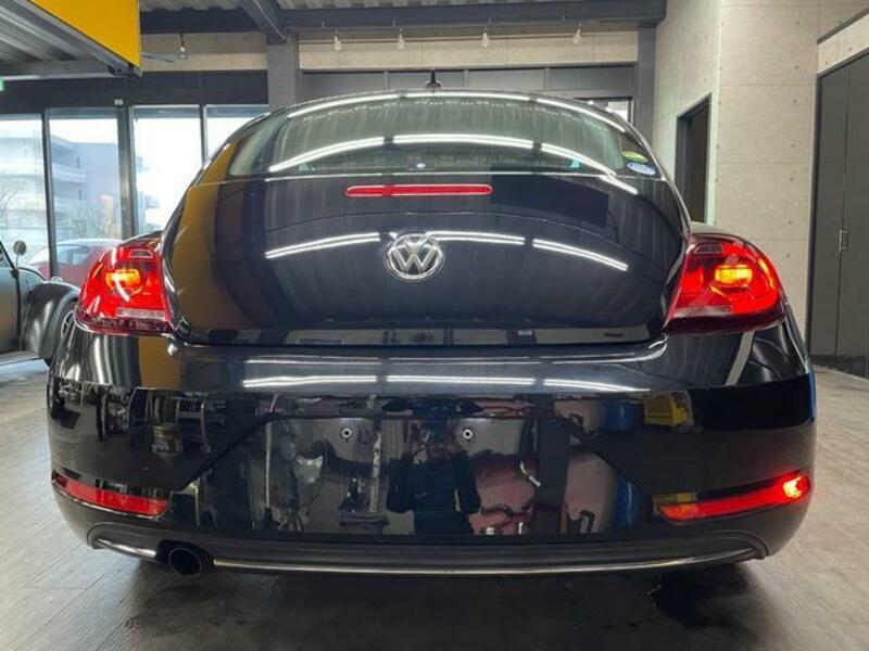 THE BEETLE
