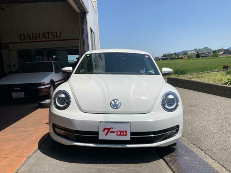 THE BEETLE
