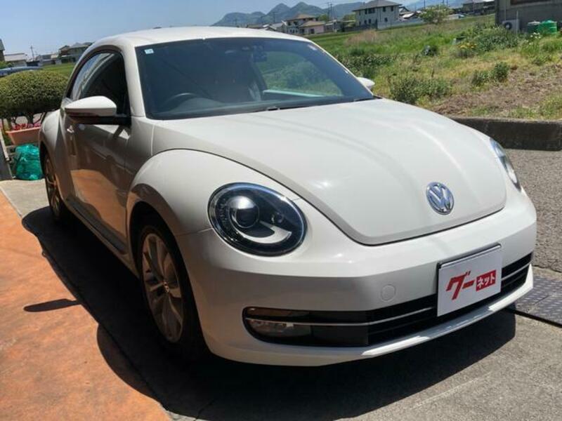 THE BEETLE