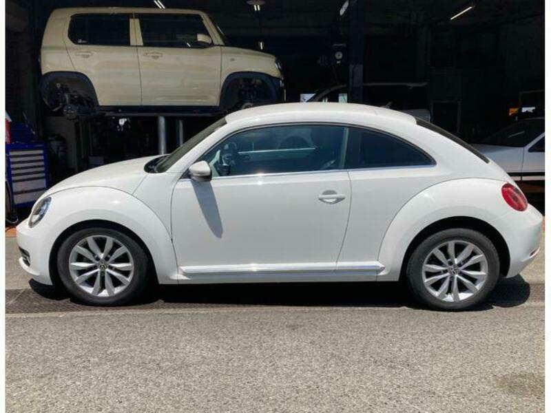 THE BEETLE