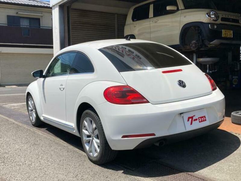 THE BEETLE