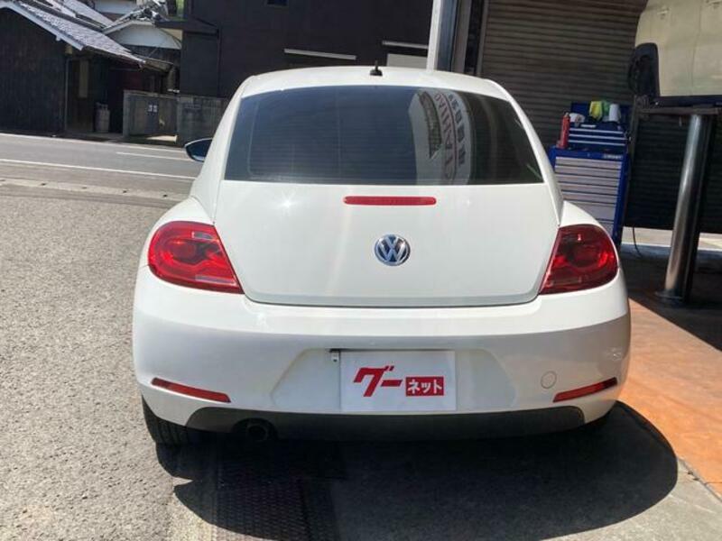 THE BEETLE