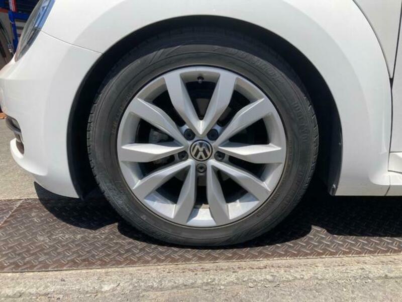 THE BEETLE