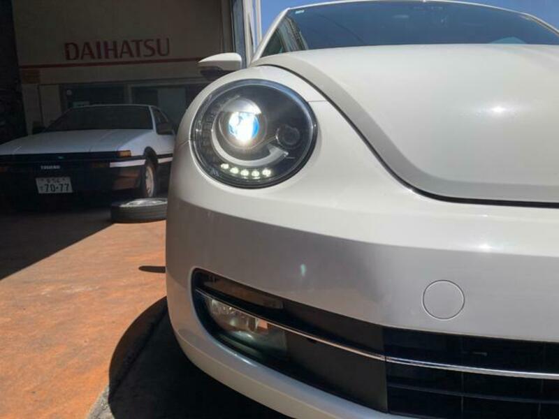 THE BEETLE