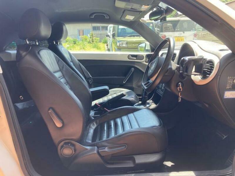 THE BEETLE