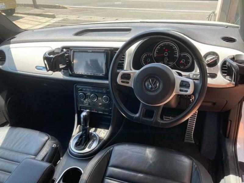 THE BEETLE