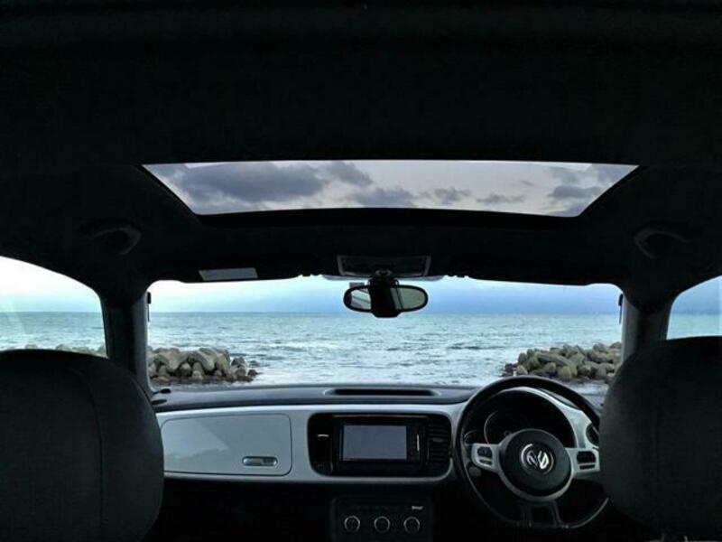 THE BEETLE