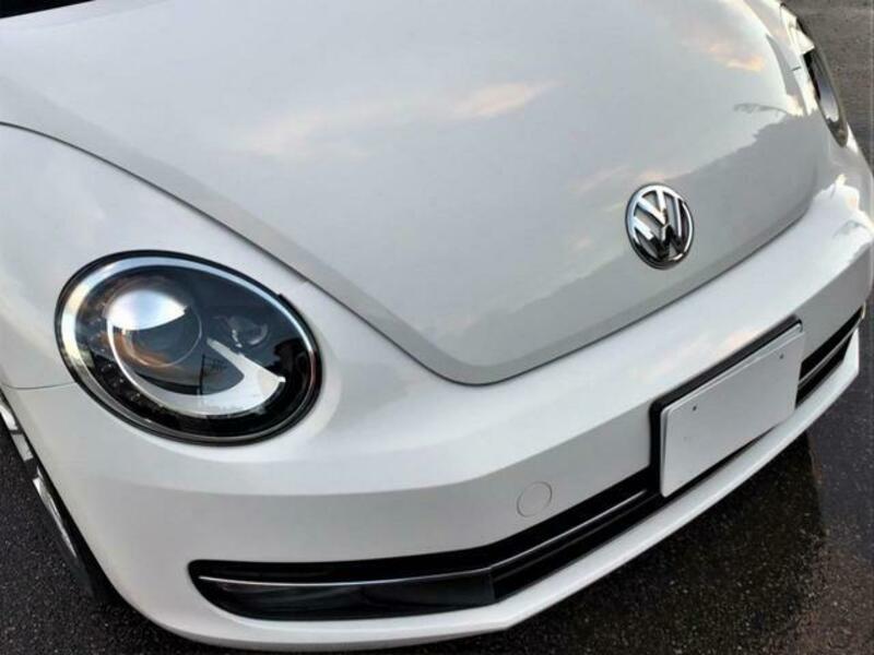 THE BEETLE