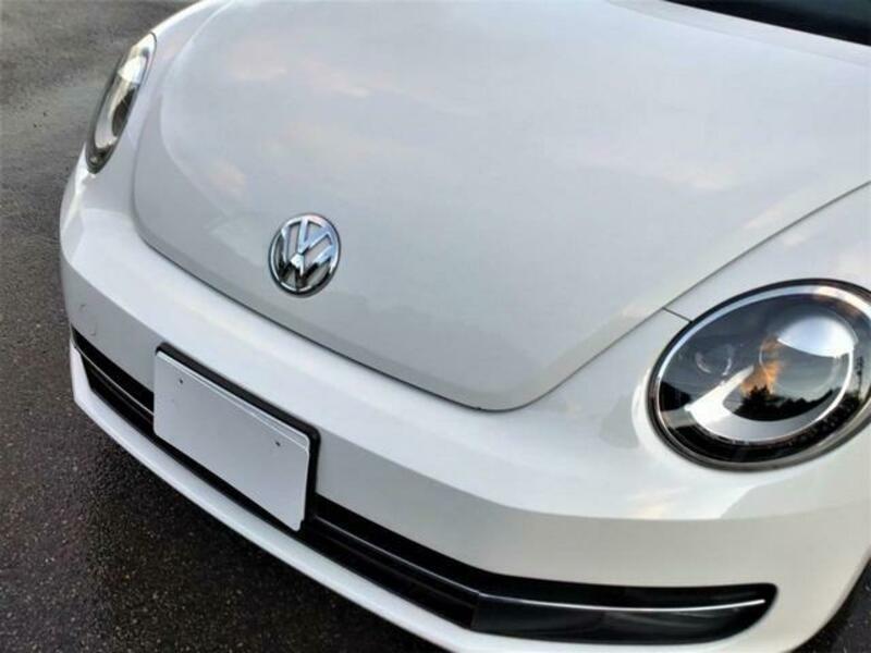THE BEETLE