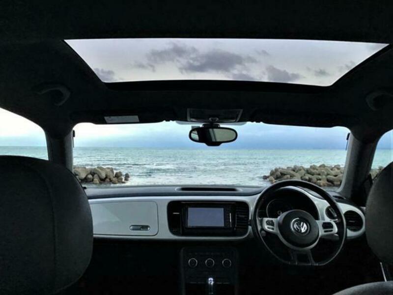 THE BEETLE