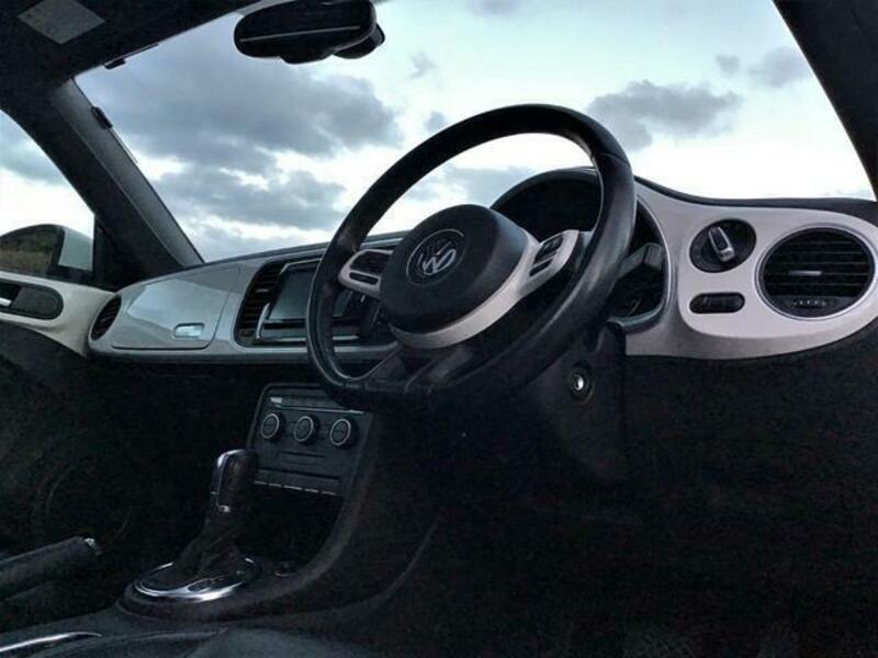 THE BEETLE