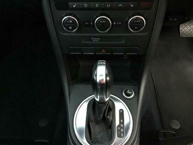 THE BEETLE