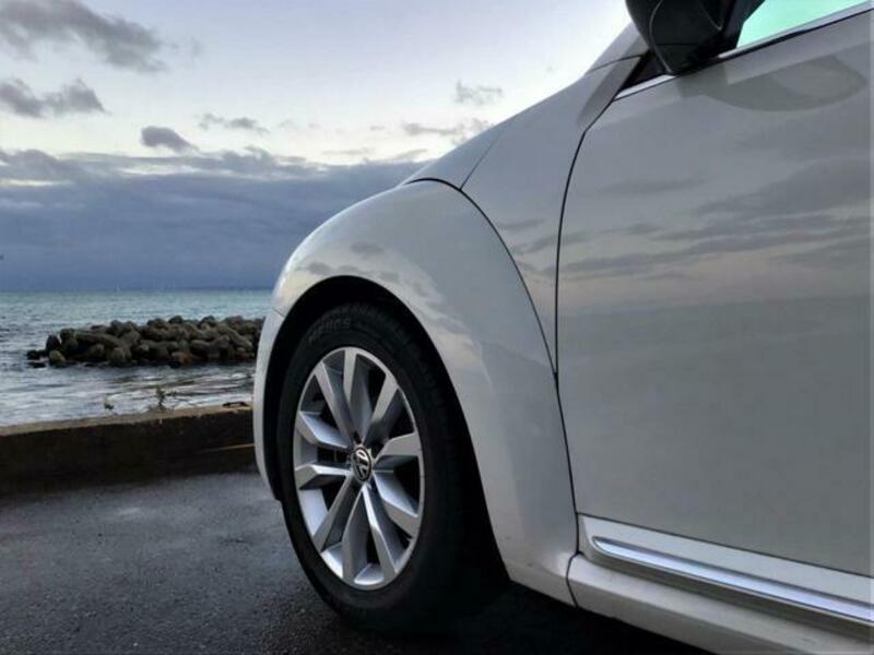THE BEETLE