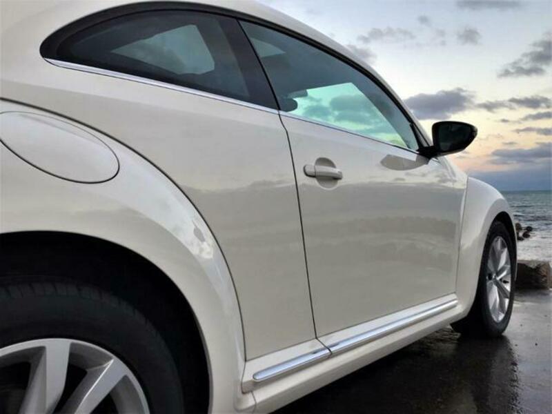 THE BEETLE