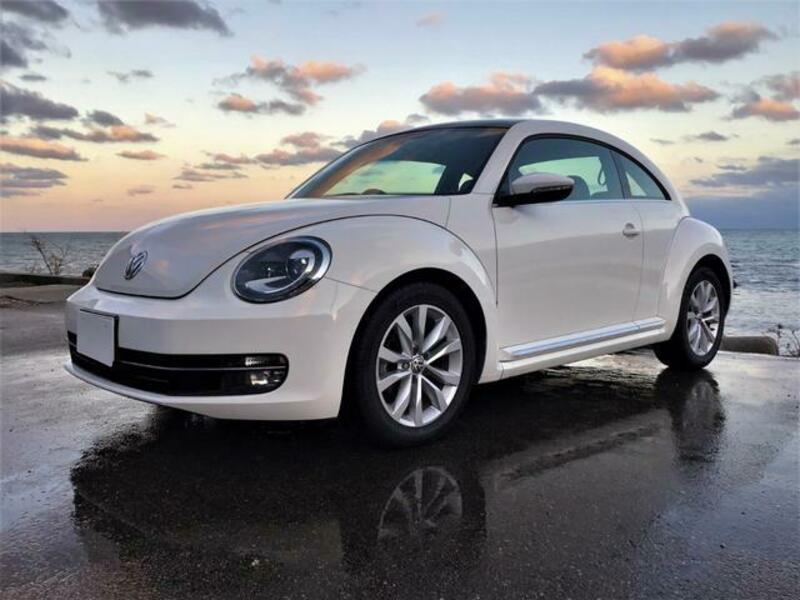 THE BEETLE-0