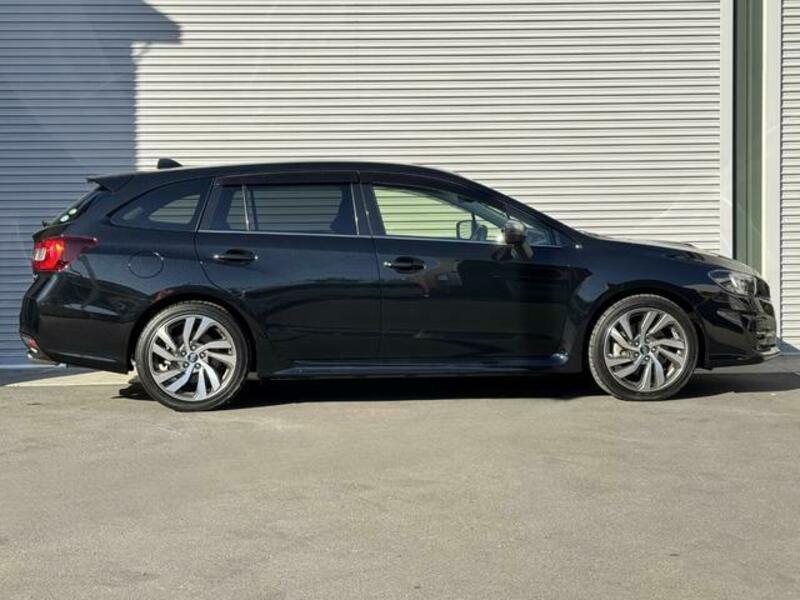 LEVORG
