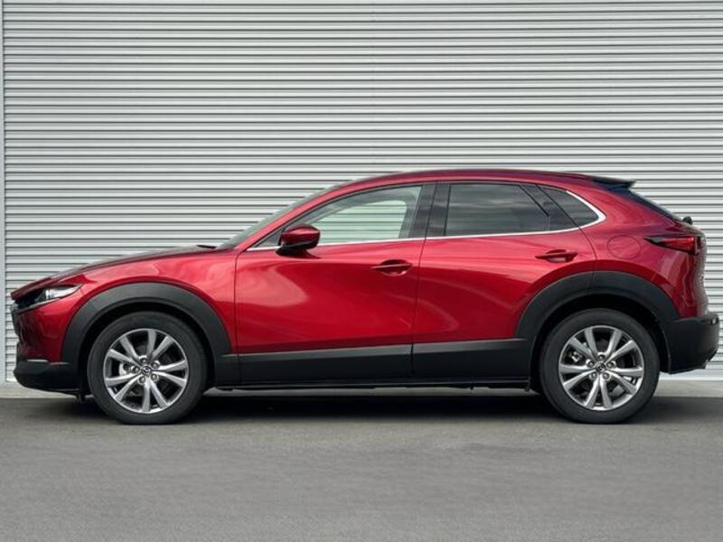 CX-30
