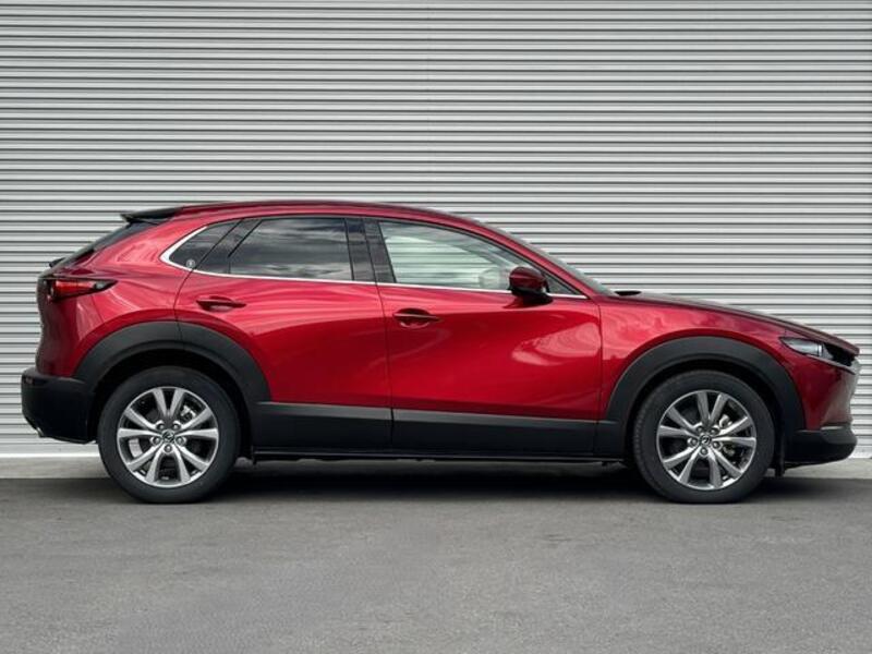 CX-30