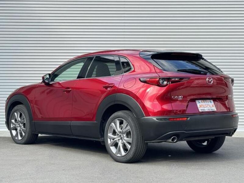 CX-30