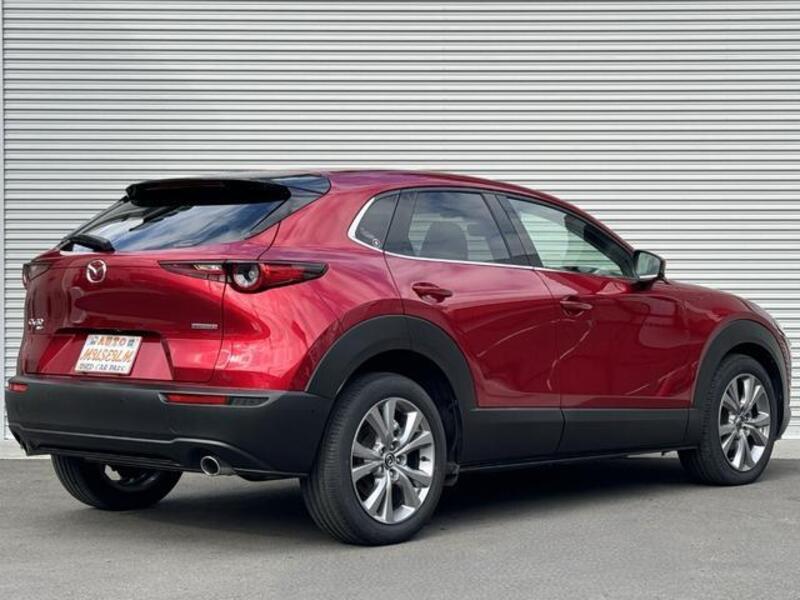 CX-30