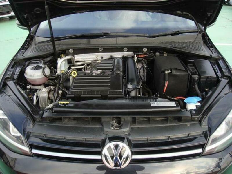 GOLF VARIANT