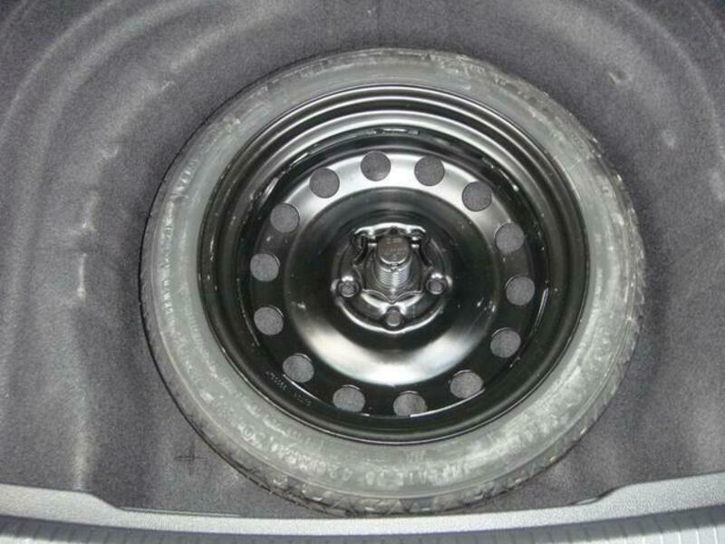 GOLF VARIANT