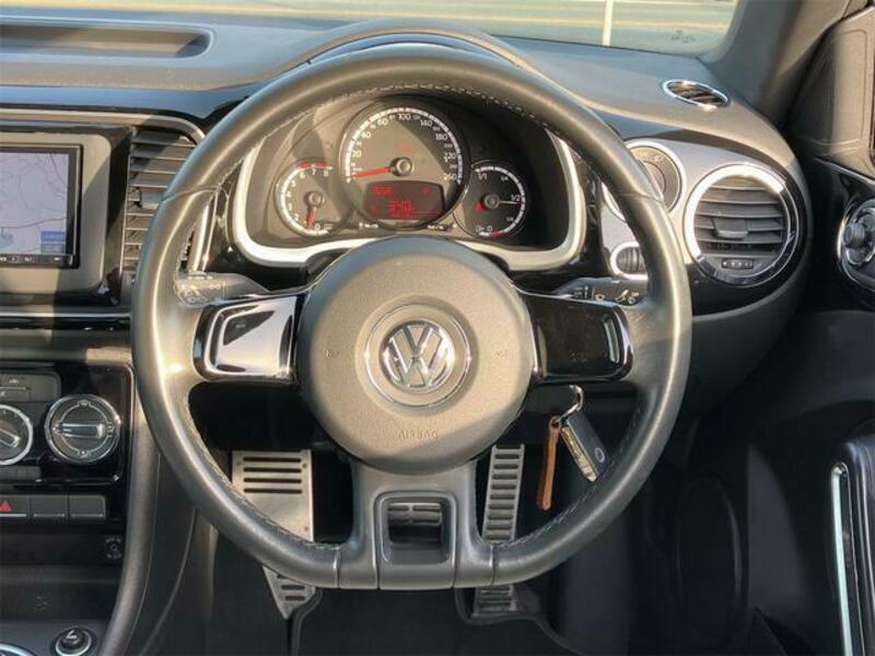 THE BEETLE