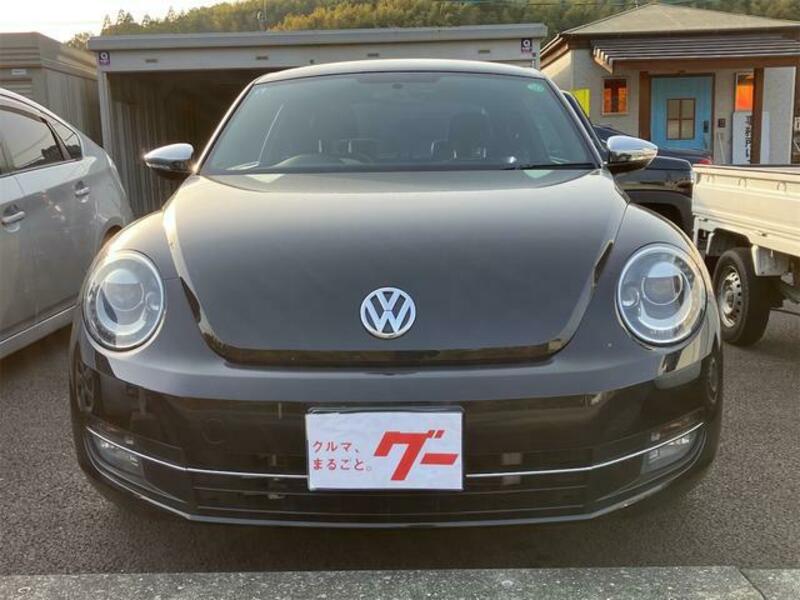 THE BEETLE