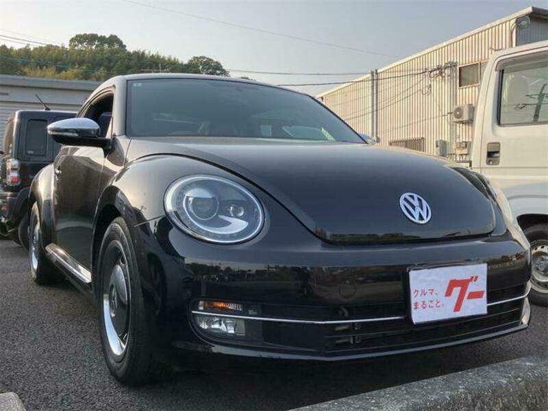 THE BEETLE