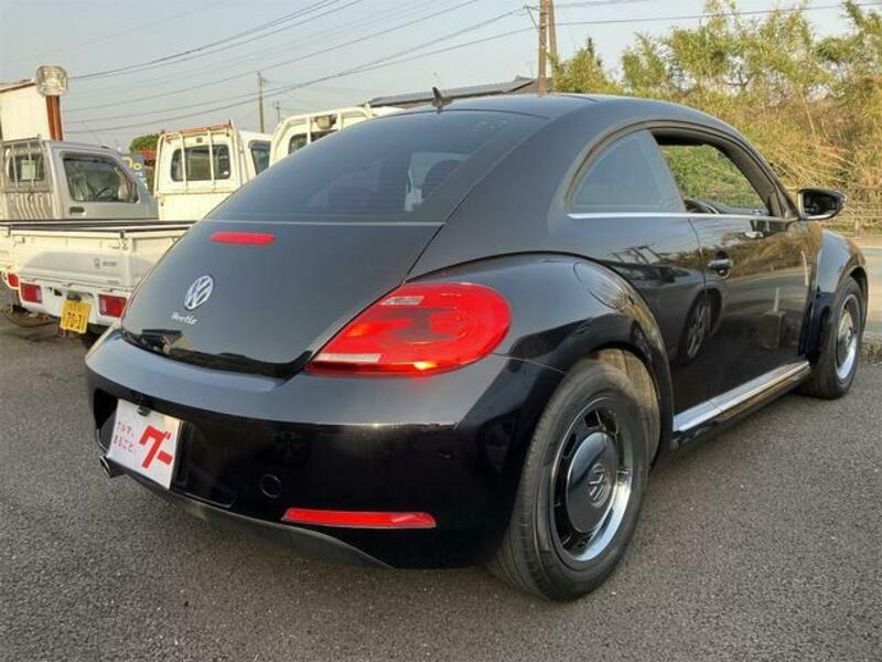 THE BEETLE