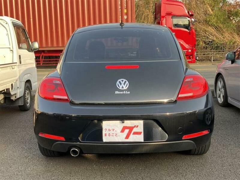 THE BEETLE