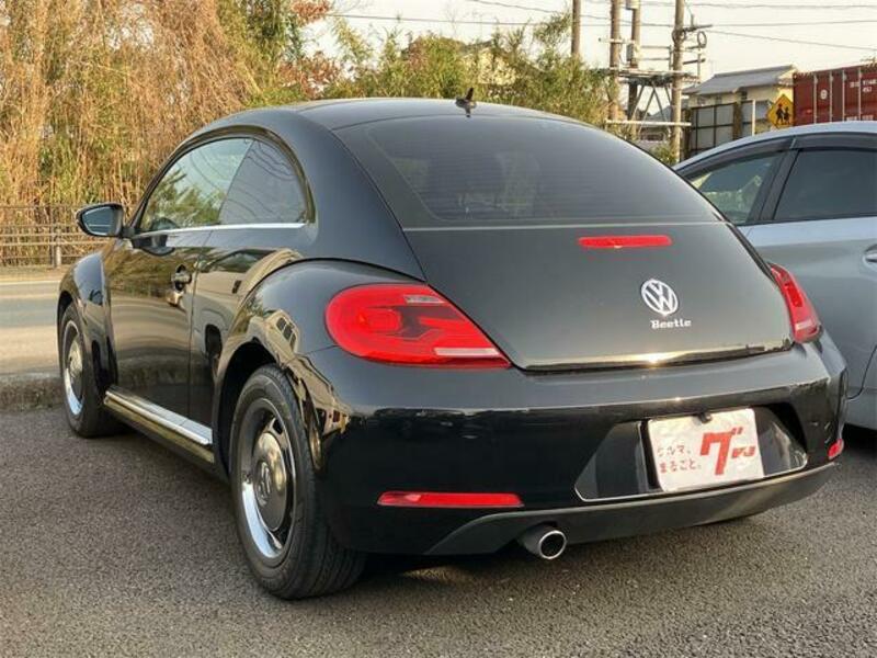 THE BEETLE