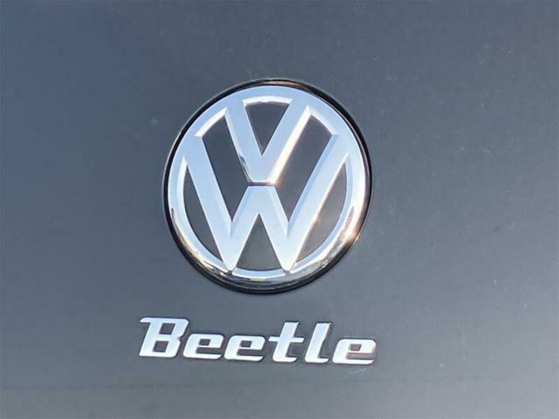 THE BEETLE