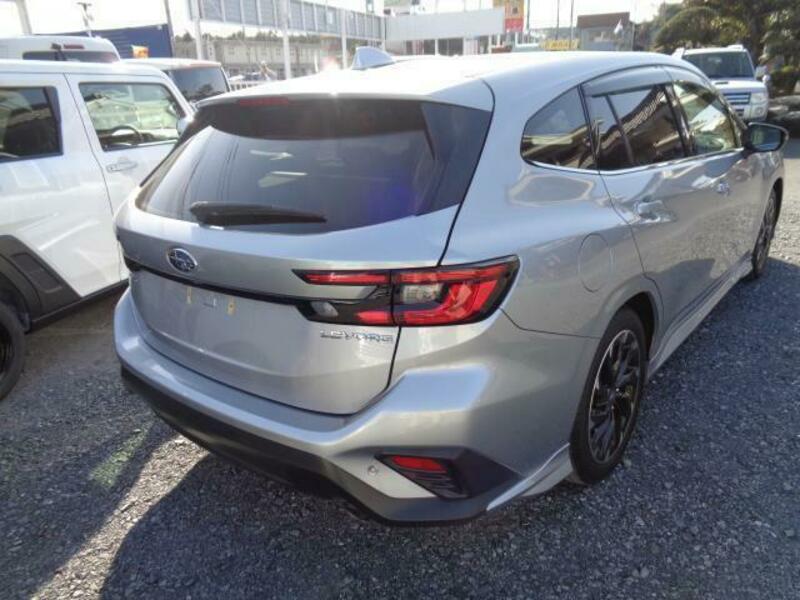 LEVORG