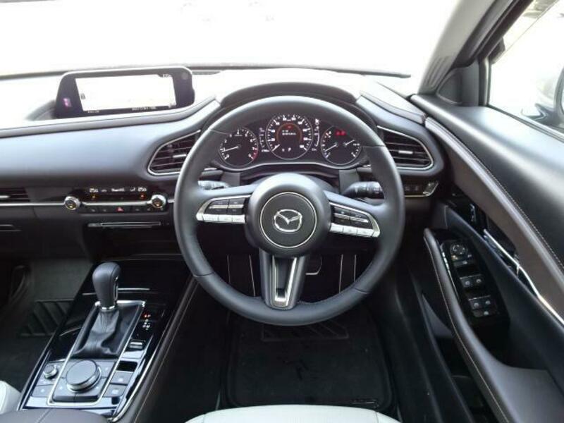 CX-30