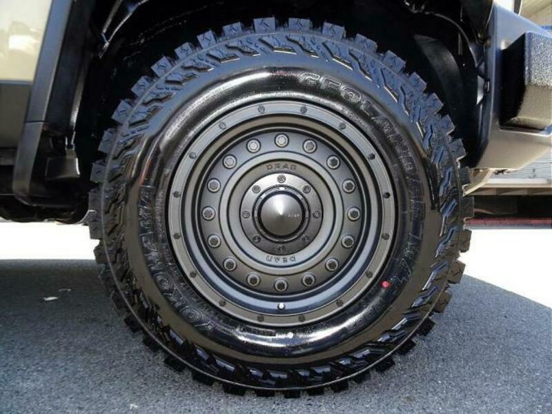 FJ CRUISER