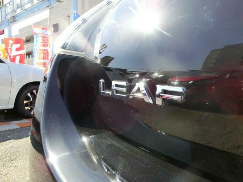 LEAF