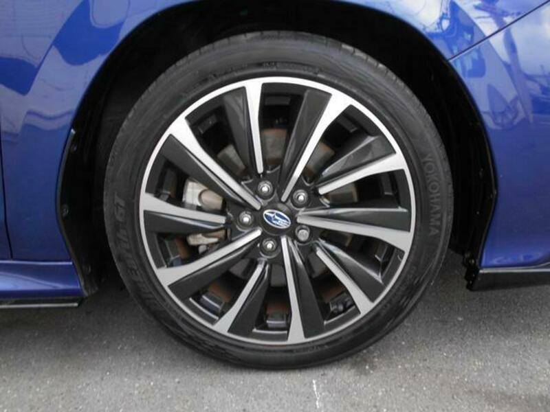 LEVORG