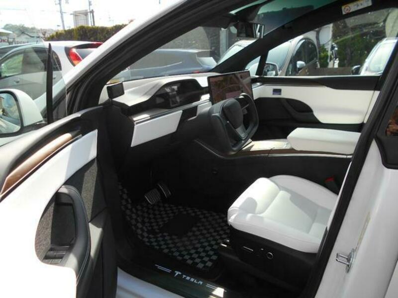 MODEL X