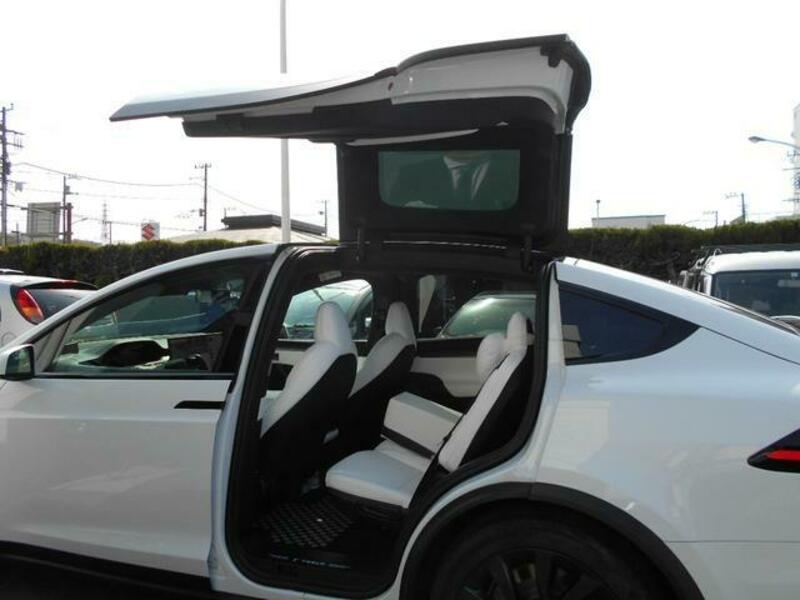 MODEL X