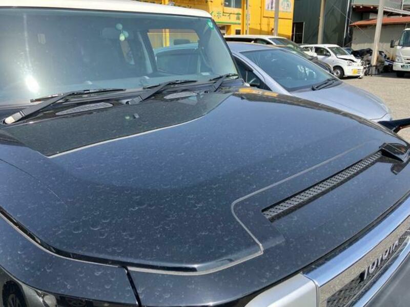 FJ CRUISER