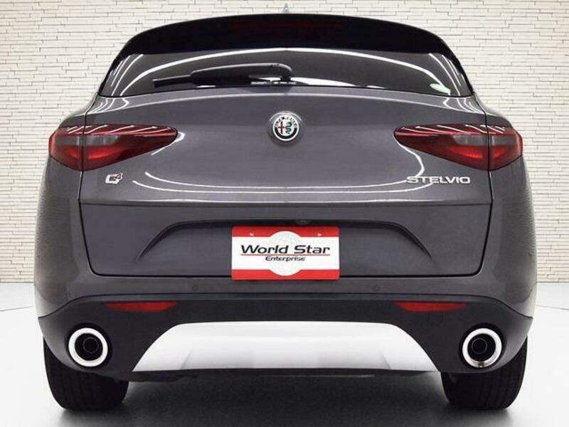 STELVIO