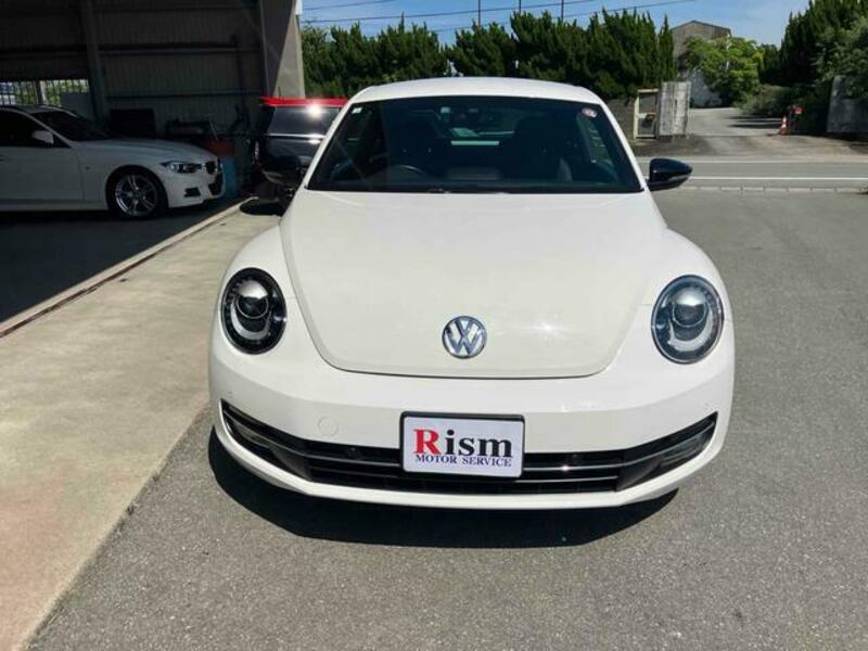 THE BEETLE