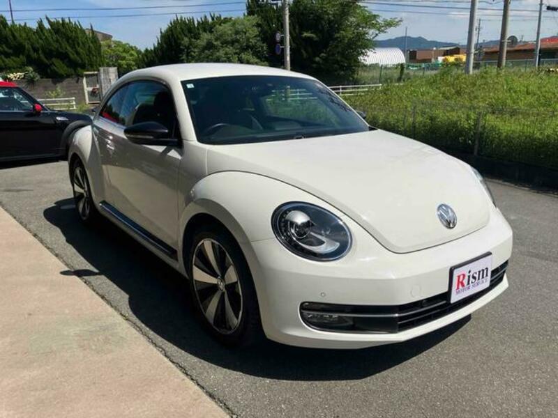 THE BEETLE