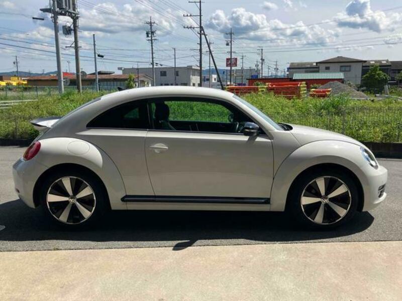 THE BEETLE