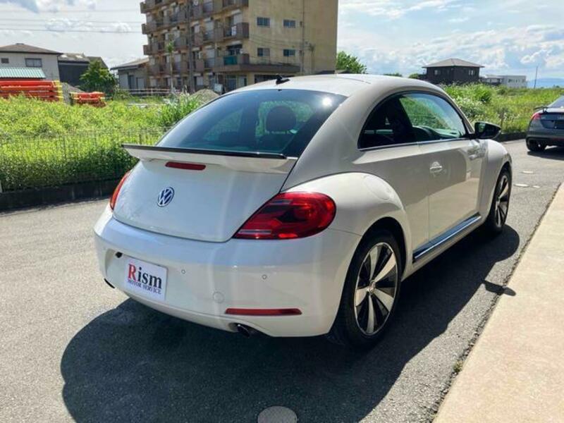 THE BEETLE