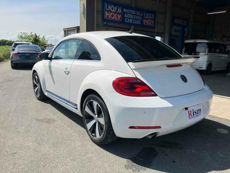 THE BEETLE