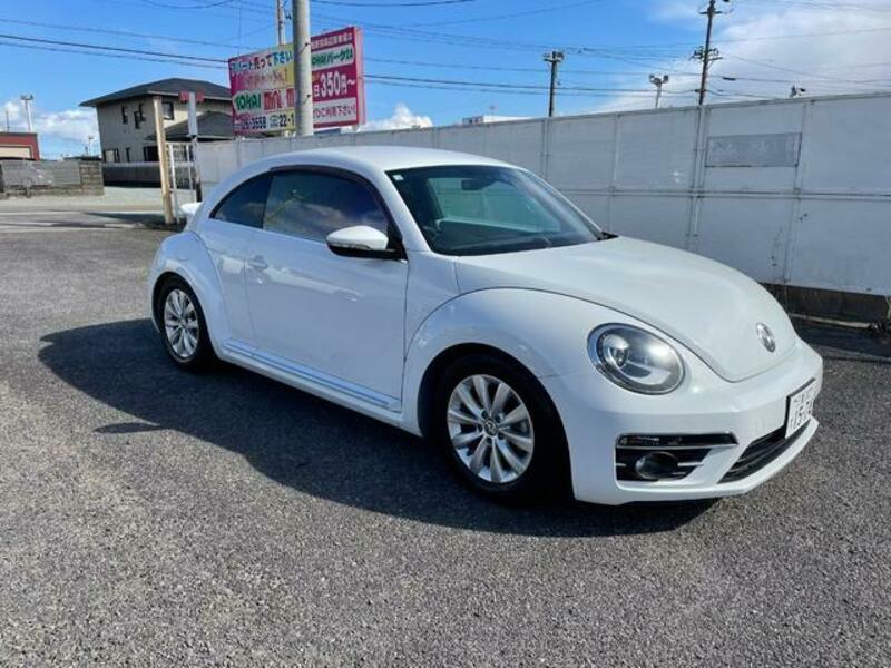THE BEETLE